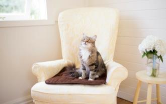 Pet Chair Pad / Place Mat